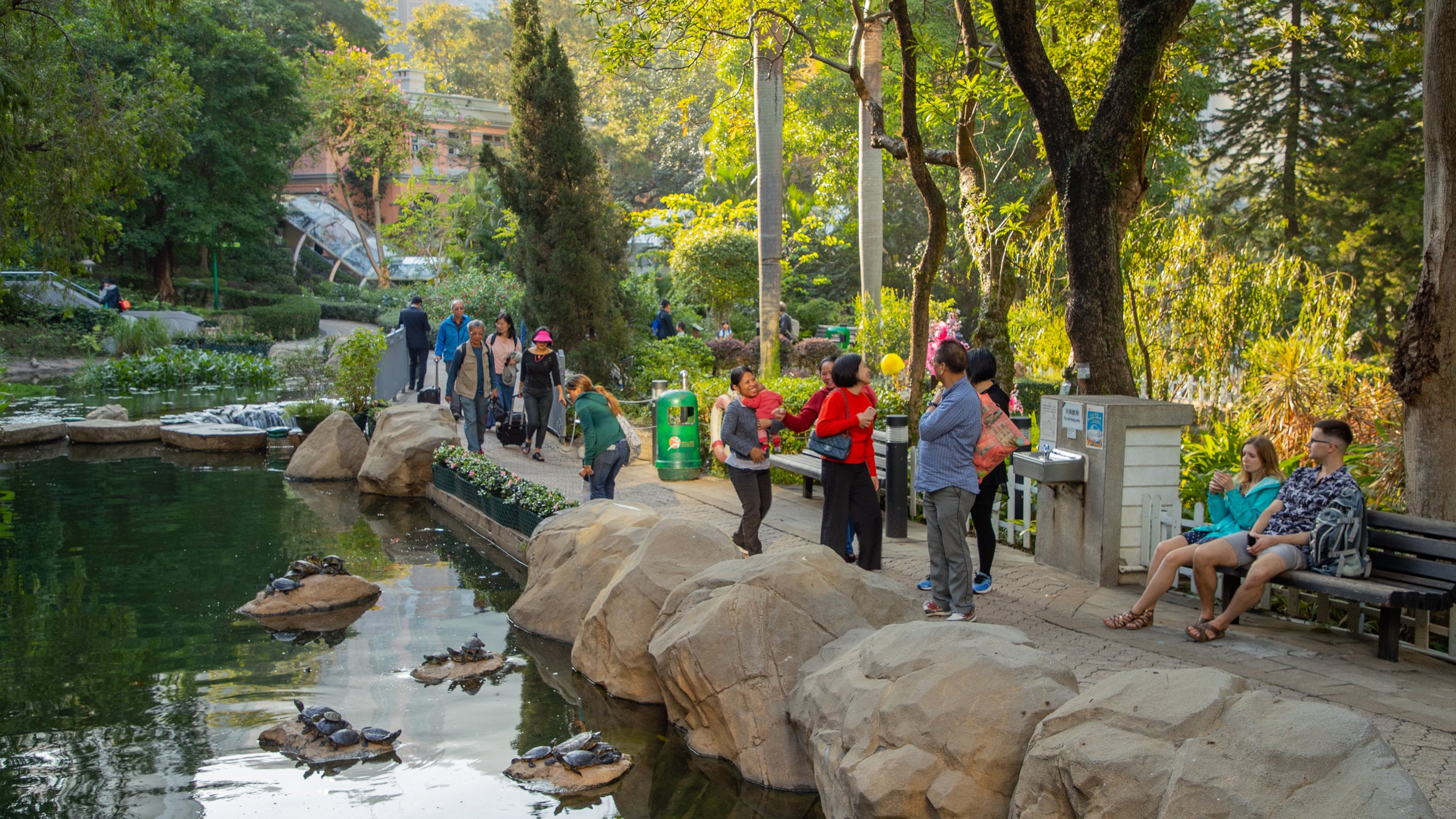 選擇鮮明衣物，方便辨認